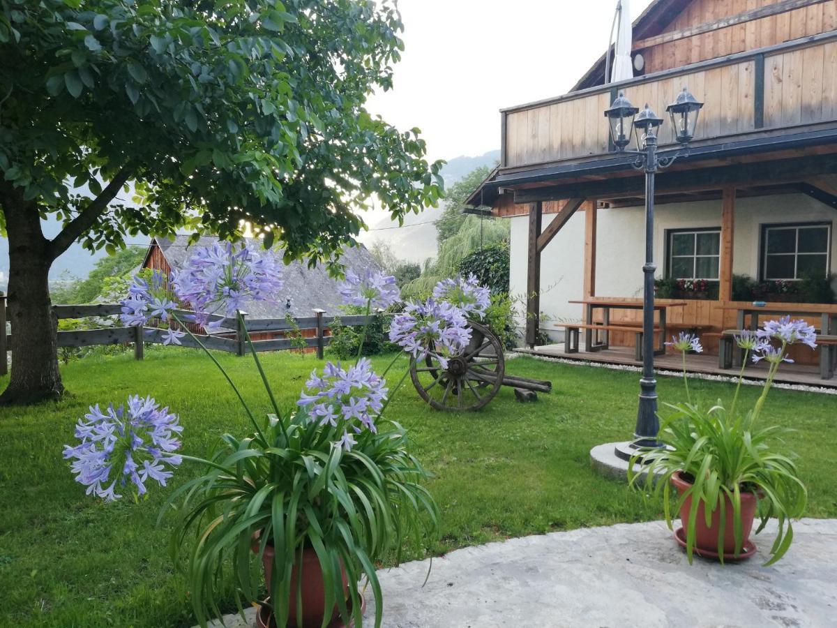 Ortnerhof Ennstal Bed & Breakfast Aigen im Ennstal Exterior photo